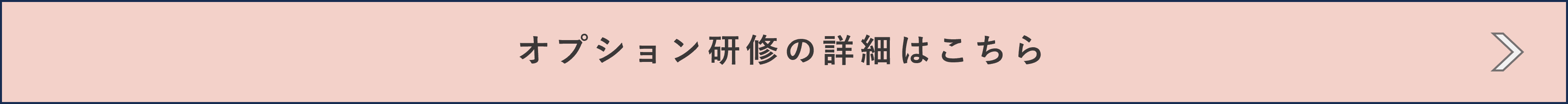 新_オプションプログラムの詳細ボタン.png