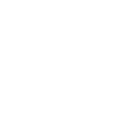 Car Accident