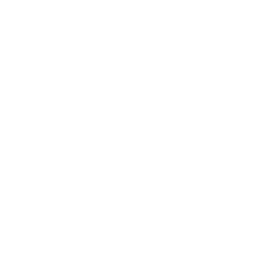 Personal Accident